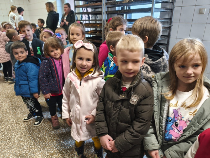  Leptirići i Bumblebees u posjetu pekari - slika broj: 9